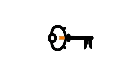 Spinning black skeleton key with orange accent vector animation on white ba.. 스톡 동영상 342637626