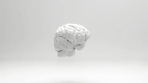 A spinning brain Stock Footage 157327097