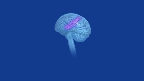 Spinning Brain Lightning Pink 2 Vídeo Stock 332457443