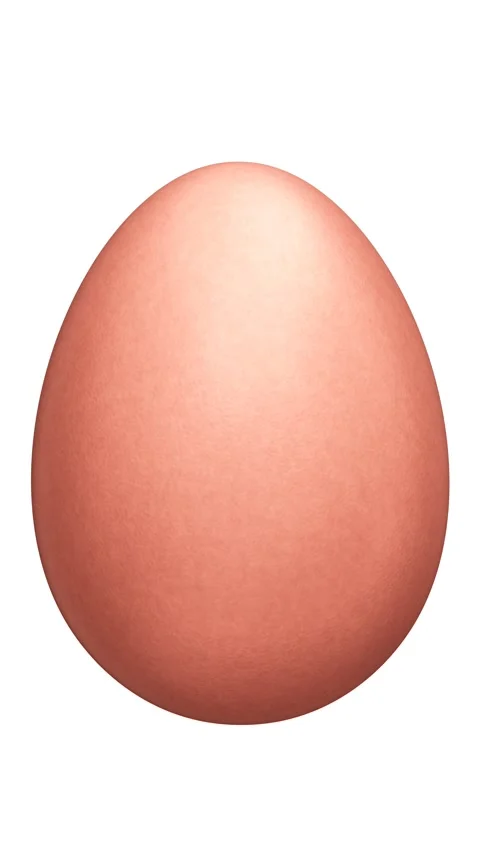 Spinning brown chicken egg demonstration rendered in UHD as PNG with alpha Stock Footage 270925304
