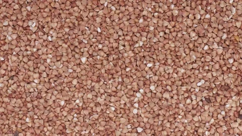 Spinning buckwheat close-up slow mo Stock Footage 146705112