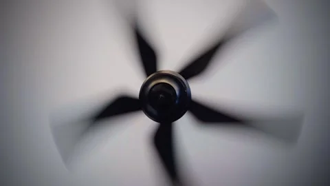 Spinning Ceiling Fan in Motion (1) Fixed Angle Shot Video stock 295998159