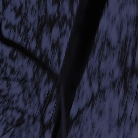 Spinning dizziness under a tree Stock Footage 69470552