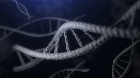 Spinning DNA Strands Stock Footage 144523631