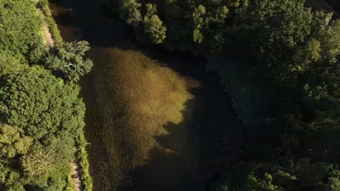Spinning Drone Descent Over Clear River And Dense Green Woodland Stock Footage 341796601