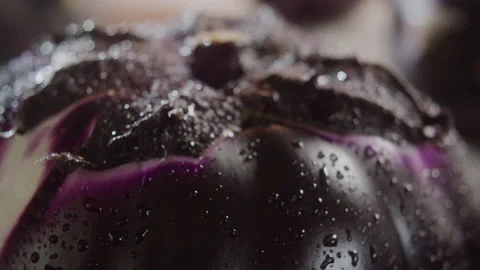 SPINNING EGGPLANT - DOLLY IN Stock Footage 132535512