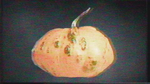 Spinning, Floating Pumpkin with Retro TV Glitch Effect in Seamless Loop Stock-Footage 320060112