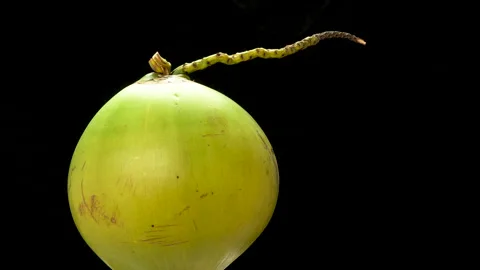 Spinning Green Coconut 360 Loop Isolated on Black Background Stock Footage 319908847