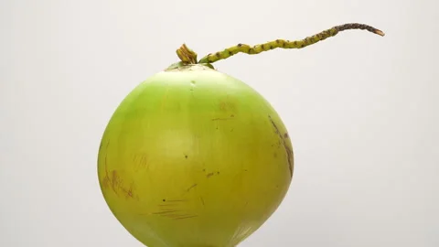 Spinning Green Coconut 360 Loop Isolated on White Background Stock Footage 319910493