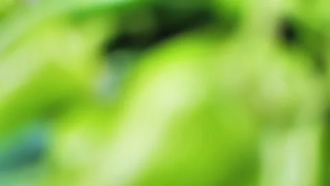 Spinning green pepper close-up blurred Stock Footage 218976712
