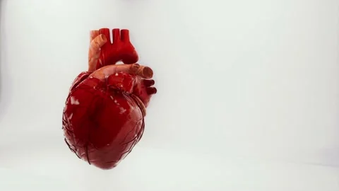 A Spinning heart beating fast in font of white background Stock Footage 155222586