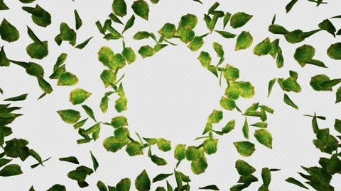 Spinning Leaves Video stock 162671756