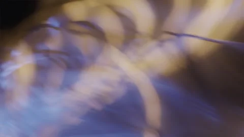 Spinning Light Circles teal Orange Stock Footage 252117590