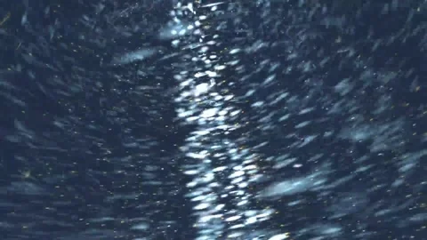 Spinning  Motions Graphics Animations Movings Backgrounds Stock Footage 274864553