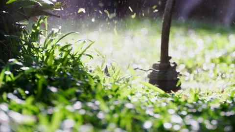 Spinning nylon string parallel to the grass-level slow-motion clip 스톡 동영상 205172339