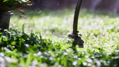 Spinning nylon string parallel to the grass-level slow-motion clip 스톡 동영상 205172352