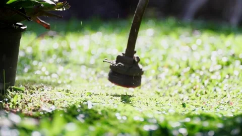 Spinning nylon string parallel to the grass-level slow-motion clip 스톡 동영상 205183773