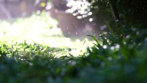 Spinning nylon string parallel to the grass-level slow-motion clip 스톡 동영상 205185749