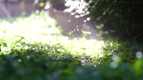 Spinning nylon string parallel to the grass-level slow-motion clip 스톡 동영상 205186141