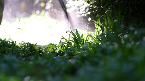 Spinning nylon string parallel to the grass-level slow-motion clip 스톡 동영상 205202069