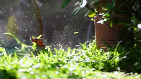 Spinning nylon string parallel to the grass-level slow-motion clip 스톡 동영상 205202708