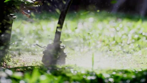 Spinning nylon string parallel to the grass-level slow-motion clip Vídeo Stock 205204153