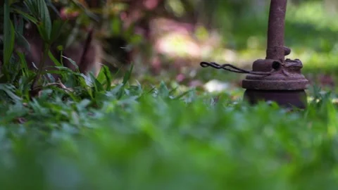 Spinning nylon string parallel to the grass-level slow-motion clip Vídeo Stock 205204953