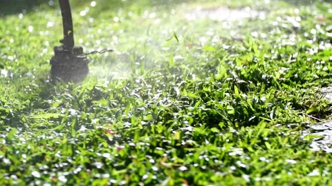 Spinning nylon string parallel to the grass-level slow-motion clip Video stock 205242484