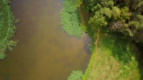 Spinning over pond in forest - 4k AERIAL video. Stock Footage 157358262