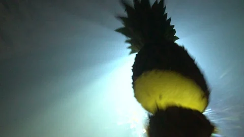 Spinning Pineapple Sliced in Slow Motion Vídeos de archivo 87455772