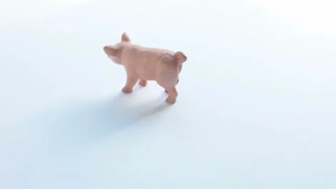 Spinning Pink Model Pig 스톡 동영상 332508865
