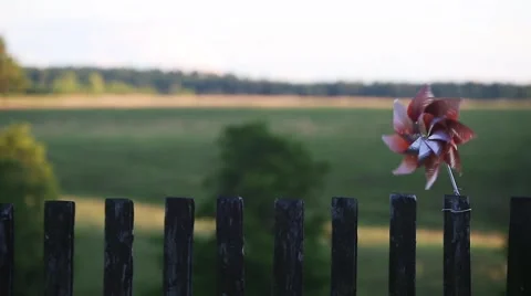 Spinning pinwheel 스톡 동영상 54650039