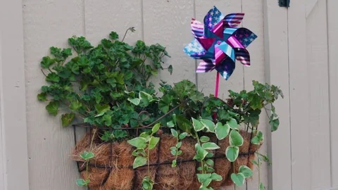 Spinning pinwheel Stock Footage 78771394