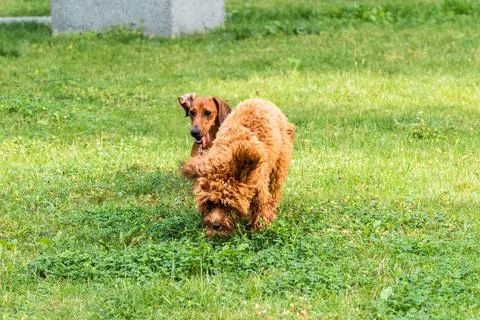 Spinning in Play Stockfoto's