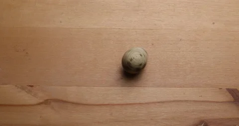 Spinning quail egg Stock Footage 156859105
