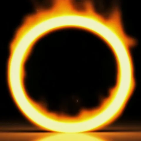 Spinning Ring of Fire on the black background Stock Footage 311366597