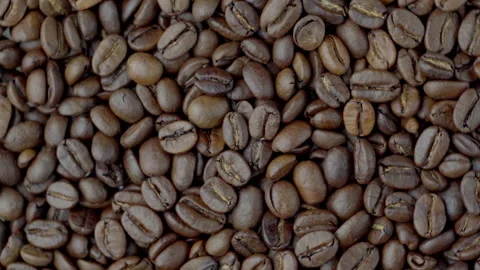 Spinning Roasted Coffee Beans Top View Background Video stock 329450455