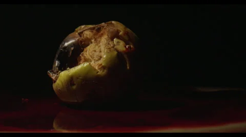 Spinning Rotten Fruit Stock Footage 30365321