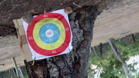 Spinning shot pushing forward toward outdoor archery target Stock-Footage 328266752