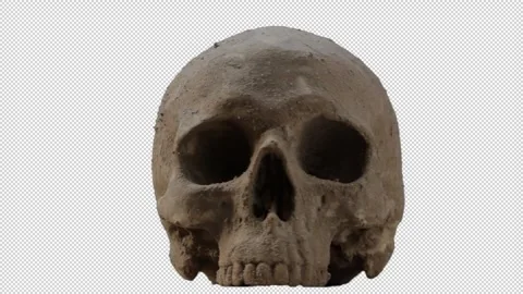 Spinning Skull Pre-Keyed Stock Footage 270544608