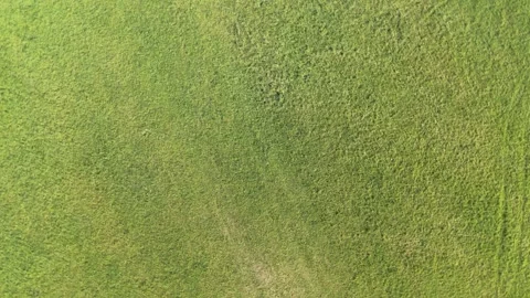 Spinning top down drone view descending over green grass field creating a d.. Stock Footage 340294784