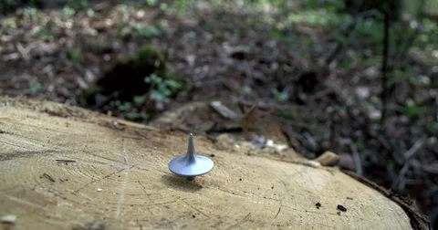 Spinning totem on a tree stump 動画素材 74691477