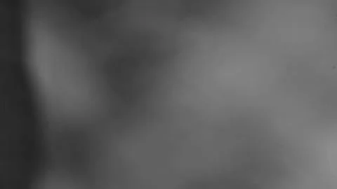 Spinning tree leaf supported by spider web, monochrome video Stock Footage 164073385