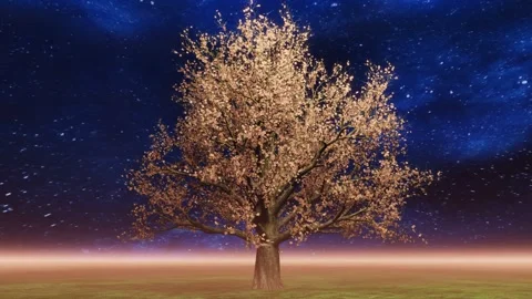 A spinning tree, the starry sky with yellow autumn leaves mist on the horizon Stock Footage 246789824