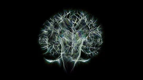 Spinning visualization of model brain activity. Stock Footage 277596464