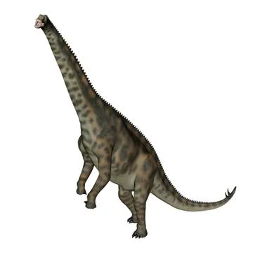 Spinophorosaurus dinosaur standing up - 3D render Stock Illustration