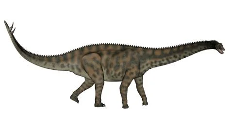 Spinophorosaurus dinosaur walking - 3D render Stock Illustration
