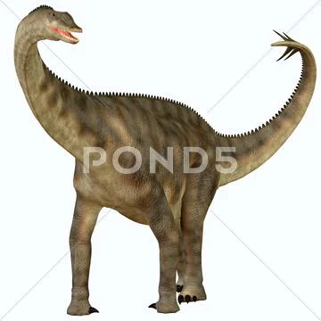 Spinophorosaurus over white Stock Illustration