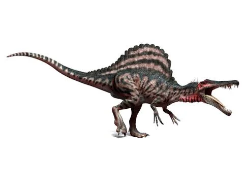 Spinosaurus dinosaur, artwork Stock Illustration