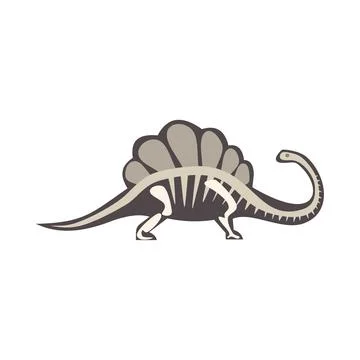 Spinosaurus dinosaur skeleton walking on white background Stock Illustration